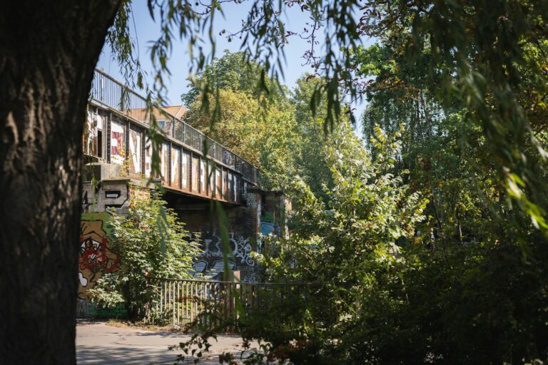 Abandoned city street overgrown nature