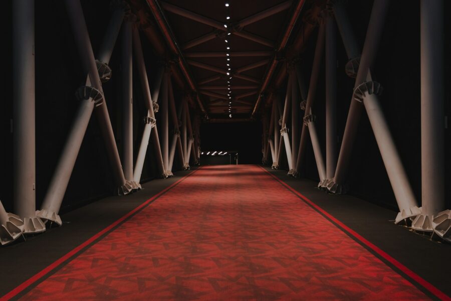 Charity gala red carpet lights