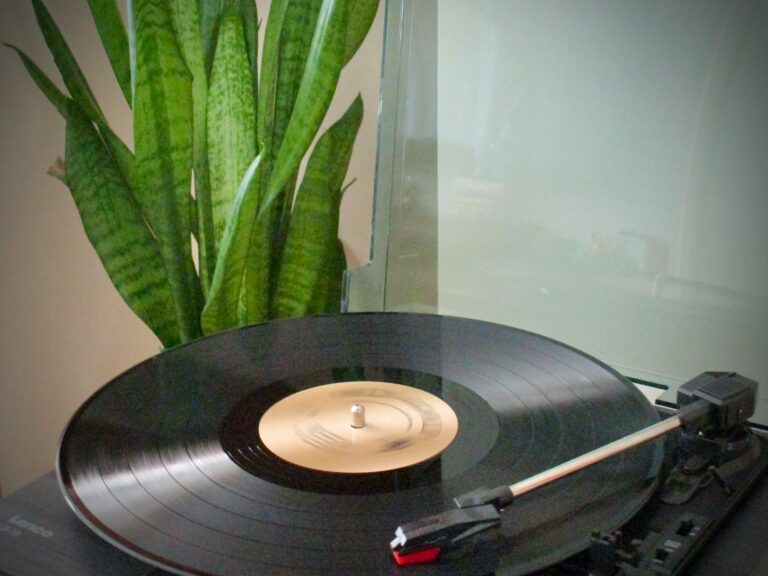 Vinyl records turntable plants lamp