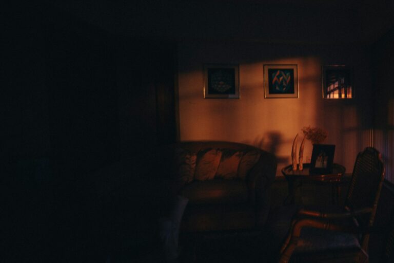 Living room crime