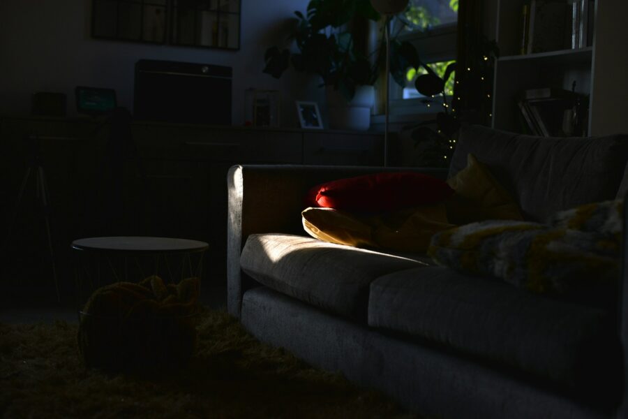 Living room crime