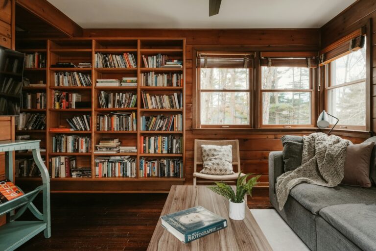 Cozy living room pop culture collectibles bookshelf