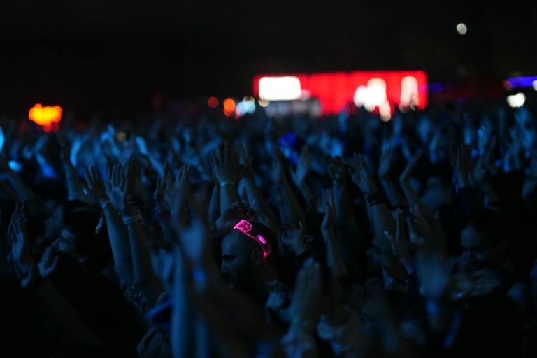 Crowded music festival