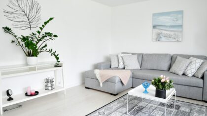 How home makeover shows inspire real-life renovations without the TV budget