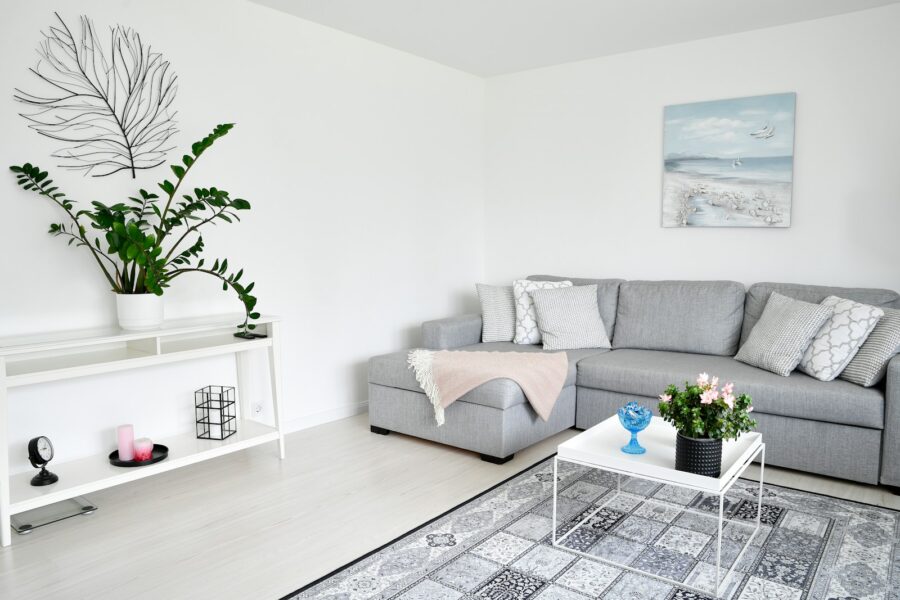 Living room renovation sofa paint ladder plants