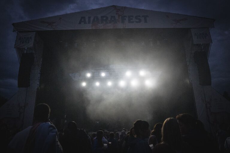Music festival crowd