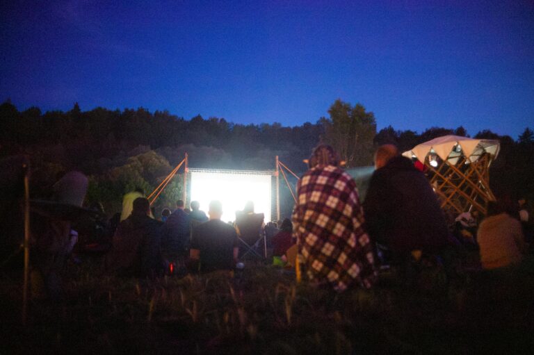 Outdoor summer movie screening park crowd blanket detail