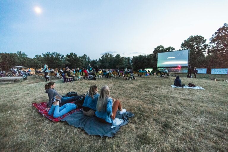 Outdoor summer movie screening park crowd blanket