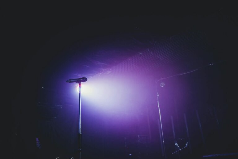 Singer stage purple