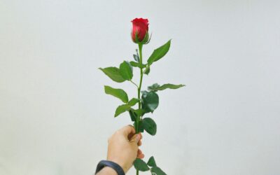 How reality dating shows changed the way we think about love and drama