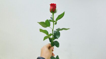 How reality dating shows changed the way we think about love and drama