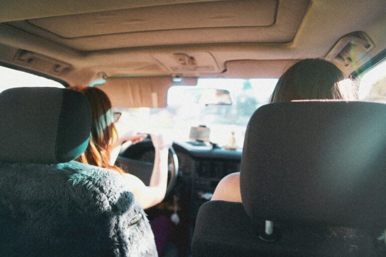 Car interior friends