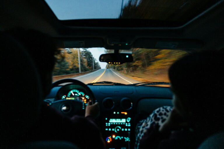 Car interior friends