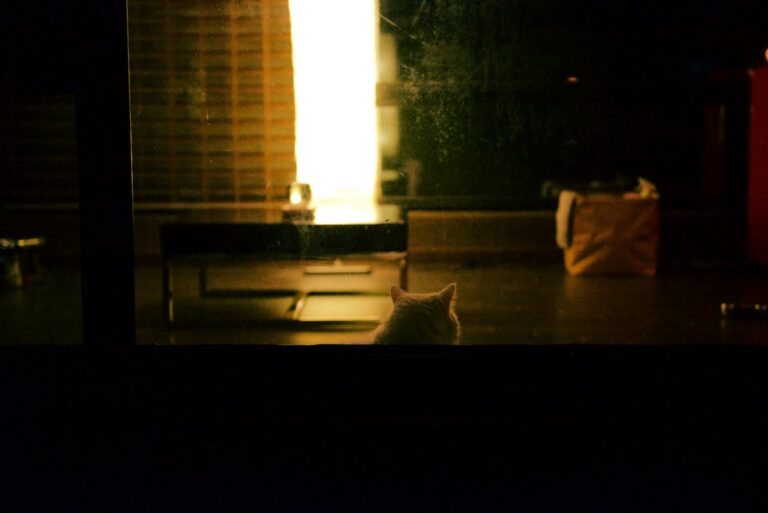 Rainy window couch