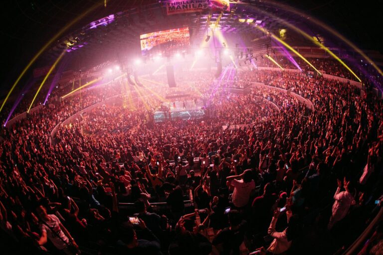 Concert crowd fan lightsticks arena