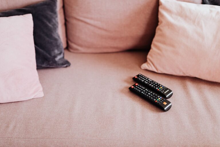 Cozy living room sofa blanket remote detail