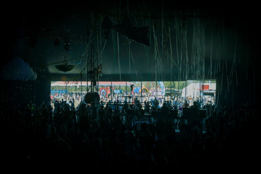 Festival vip viewing
