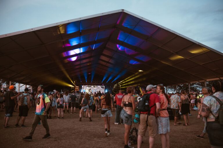 Festival vip viewing